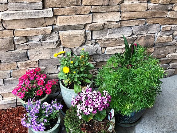 Comes with drip system 