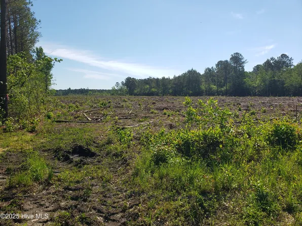 23.95ac Loop Road, Bolton, NC 28423