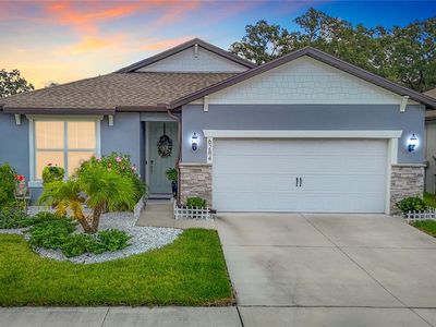 6284 Bradford Woods Dr, Zephyrhills, FL, 33542