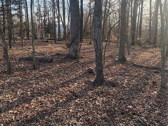 4th image of Hh And Carol Rd