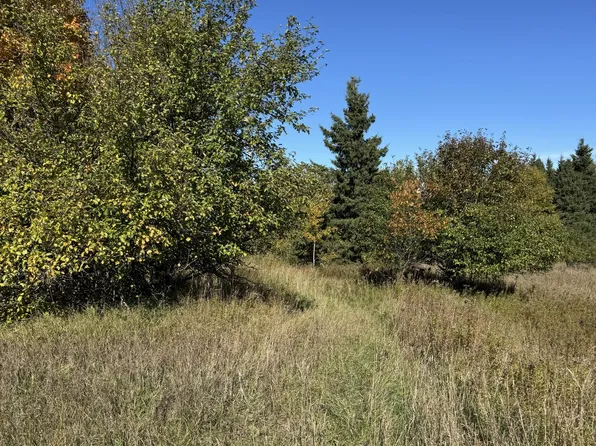 V/l 40ac County Rd #98, Mc Millan, MI 49853