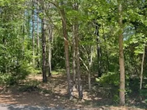 859 Blue Bird Dr, Vass, NC 28394