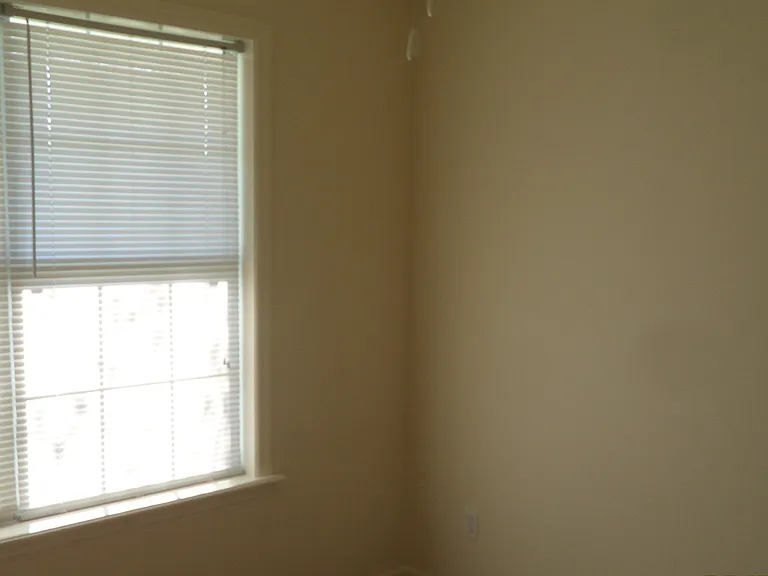 4206 Wilshire Dr — Photo 8