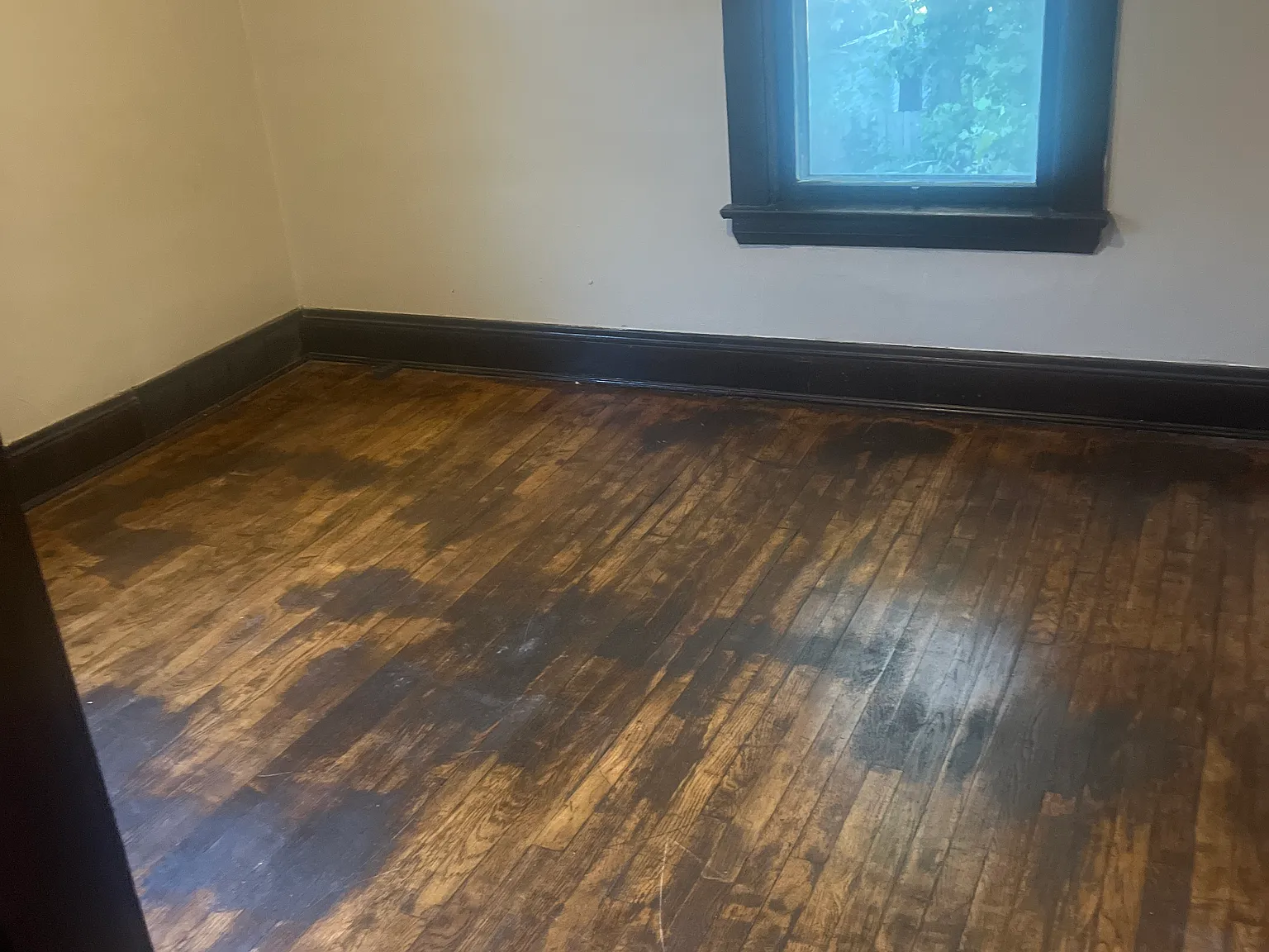 2 bed, $1,000 — Photo 4