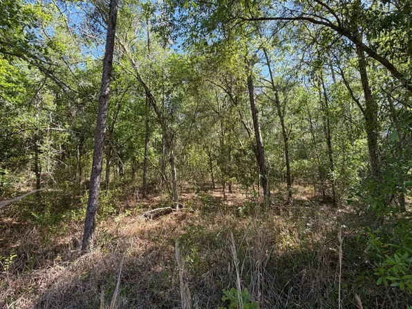 Se St #340, Mayo, FL 32066