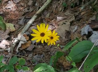 Roberts Ln, Tellico Plains, TN 37385