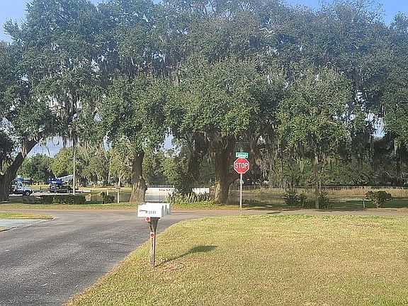 3rd image of 5541 Betmar Dr