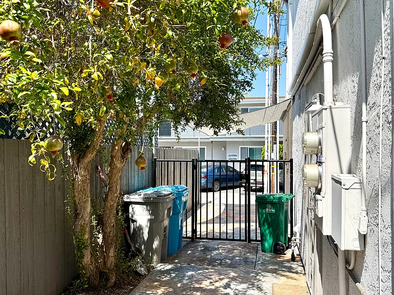 Front door (right), pomegranate tree (left), covered parking on other side of fence