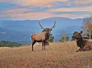 1438 Pine View Pl, Golden, CO 80401