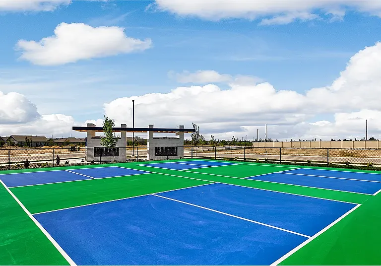 Community Pickleball Courts