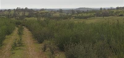 5th image of Crestview