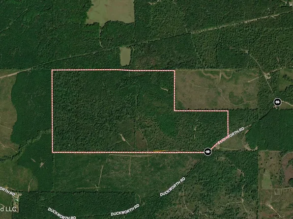 0 Duckworth Rd, Monticello, MS 39654