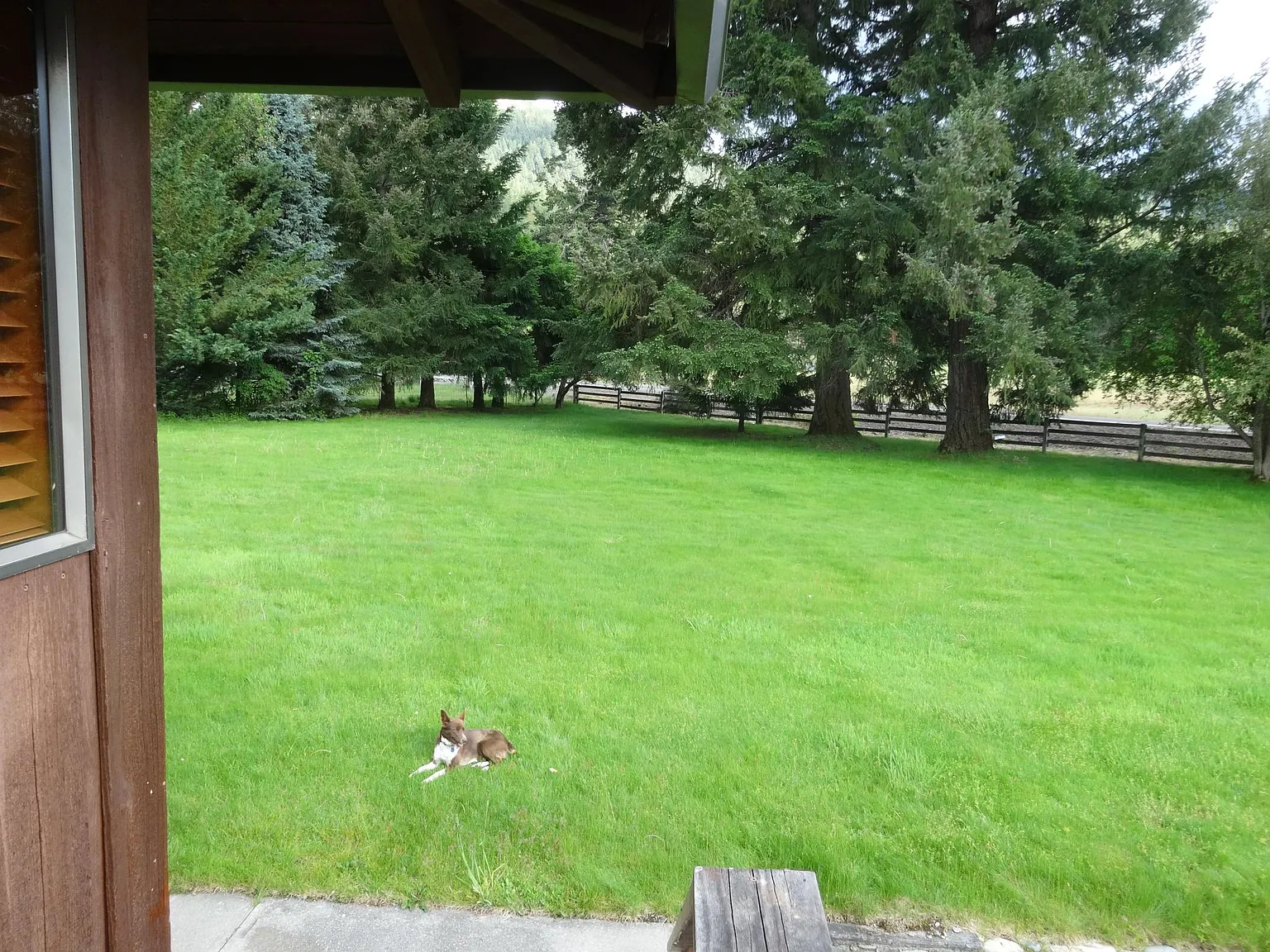 11936 Upper Applegate Rd — Photo 3