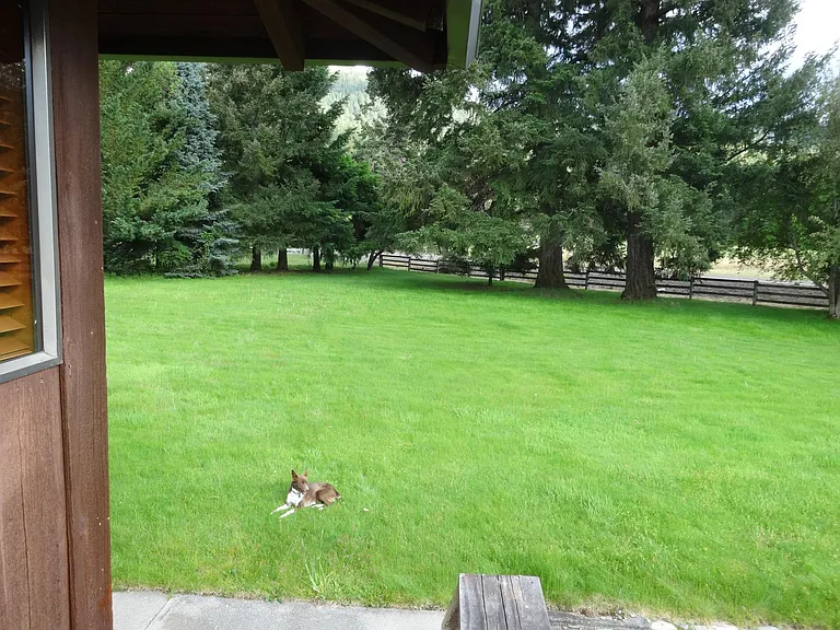 11936 Upper Applegate Rd — Photo 3