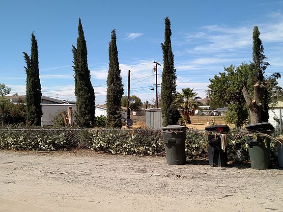 Front View - Mature Trees