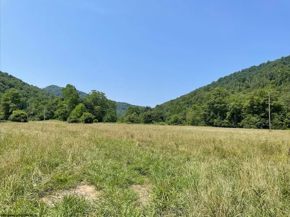 245 White Oak Rd, Erbacon, WV 26203