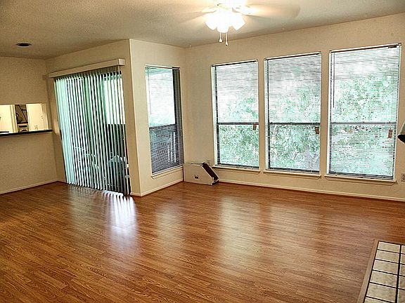 Large windows with tree view.