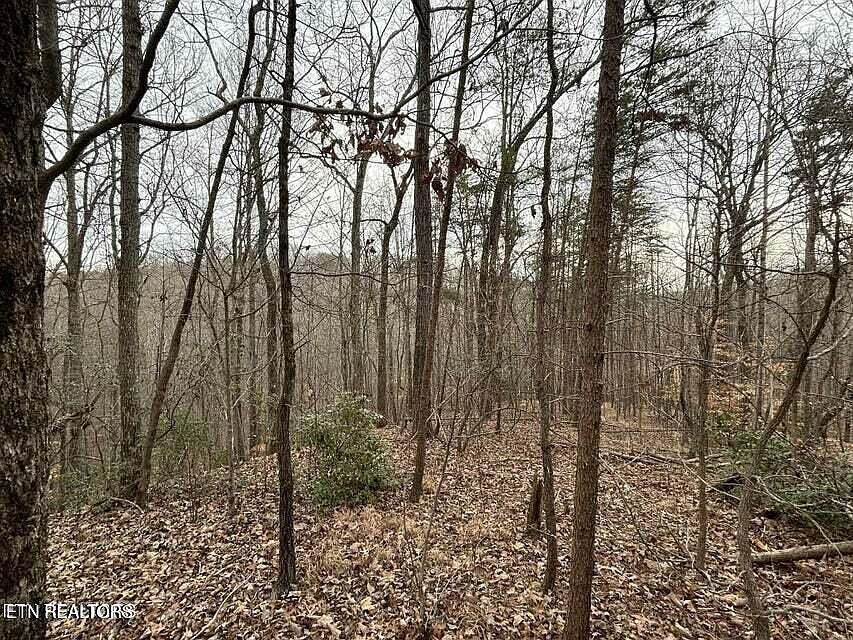 1st image of Black Hawk Dr