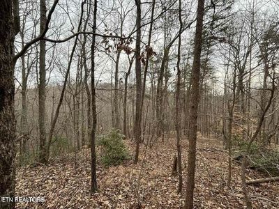Black Hawk Dr, Ten Mile, TN, 37880