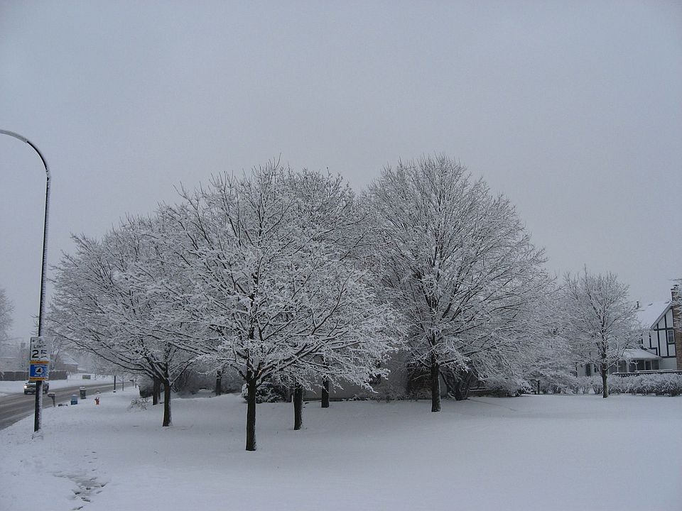 View from the park in winter