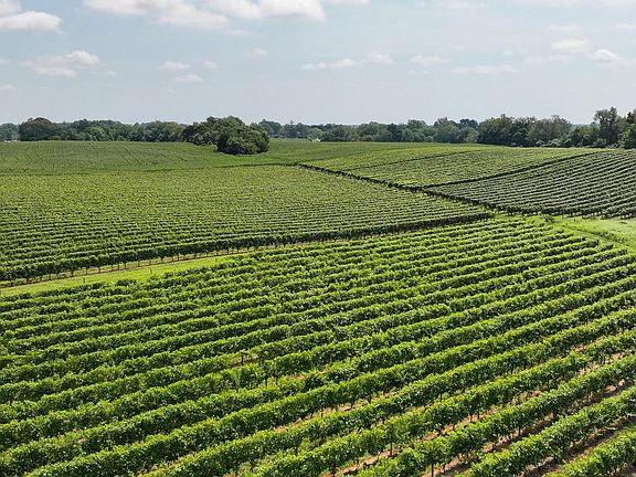 5th image of 101 Griffin Rd