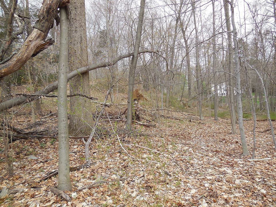 2nd image of 0 Knollwood Drive East #16
