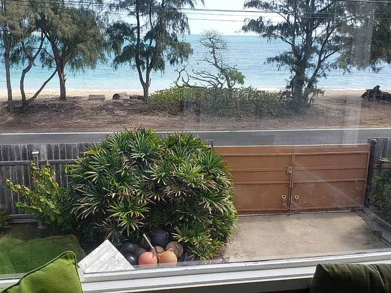 53-446 Kamehameha Hwy — Photo 6