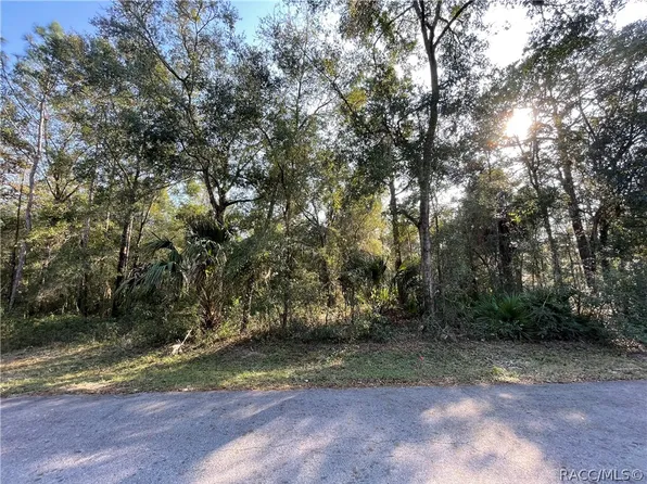 9618 W Cleveland Ln, Crystal River, FL 34428