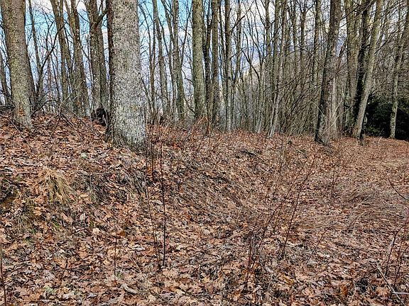 5th image of 49 Hazel Top Section Teaberry Ridge Rd