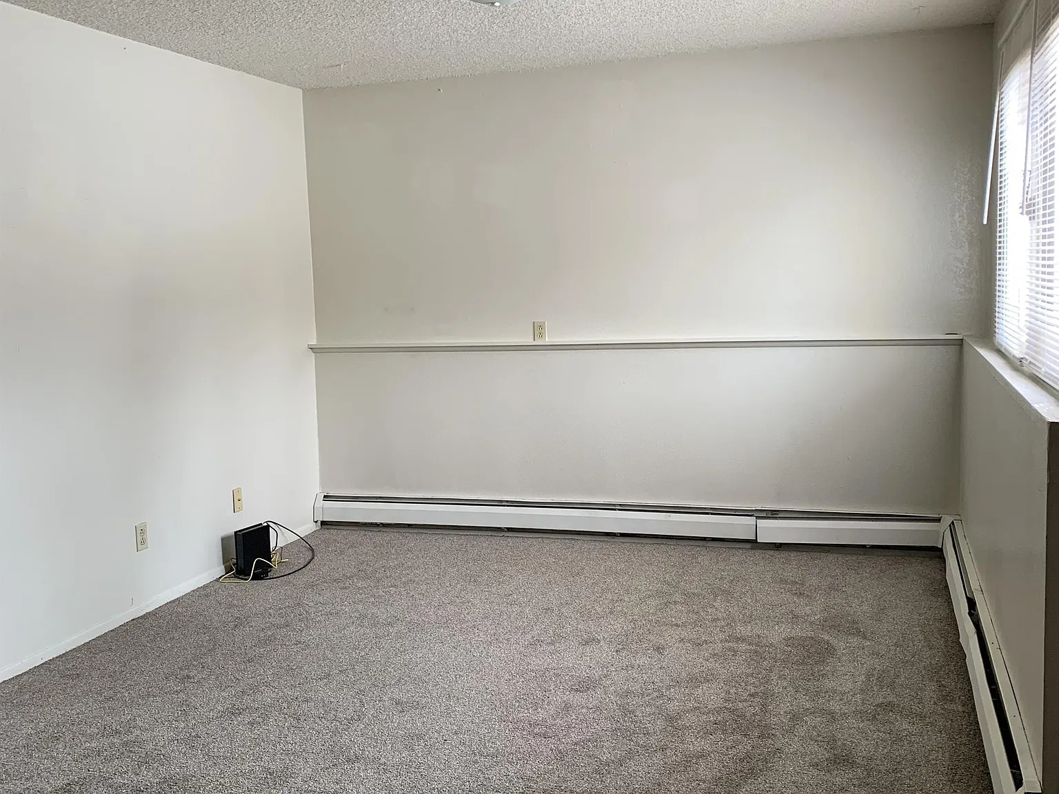 1101 Downey Street — Photo 4
