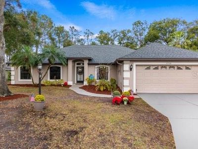 17719 Sugar Pine Way, Montverde, FL, 34756