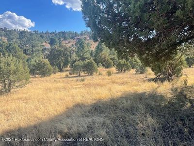 112 Antler Dr, Alto, NM, 88312