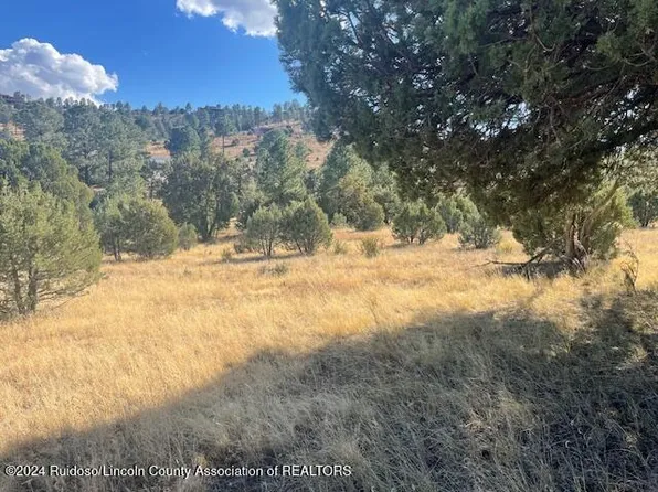 112 Antler Dr, Alto, NM 88312