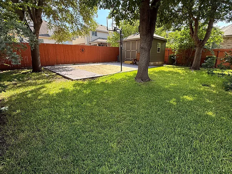 11638 Catchfly — Photo 10