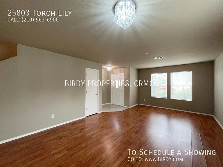 25803 Torch Lily — Photo 12
