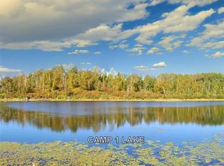 Xxx Idaho Drive, Akeley, MN 56433