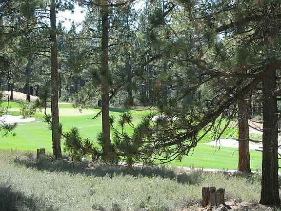 2nd image of 12592 Caleb Dr