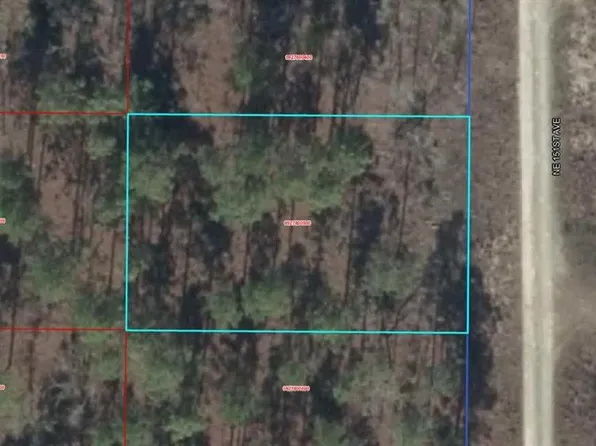 0 NE 151st Ave Lot 6, Williston, FL 32696