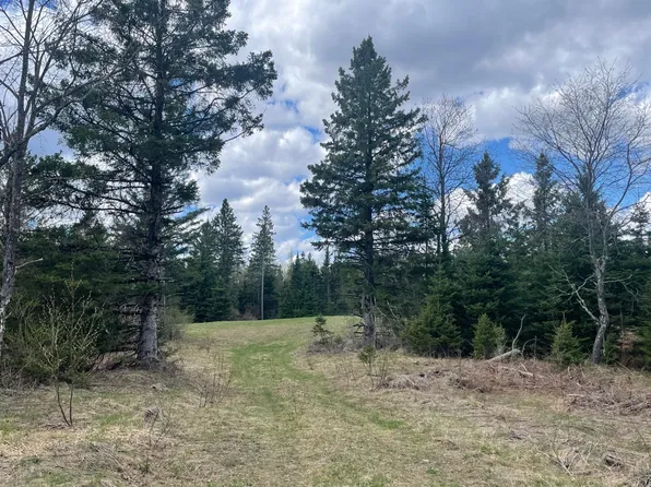 Pociask Rd, Butternut, WI 54514