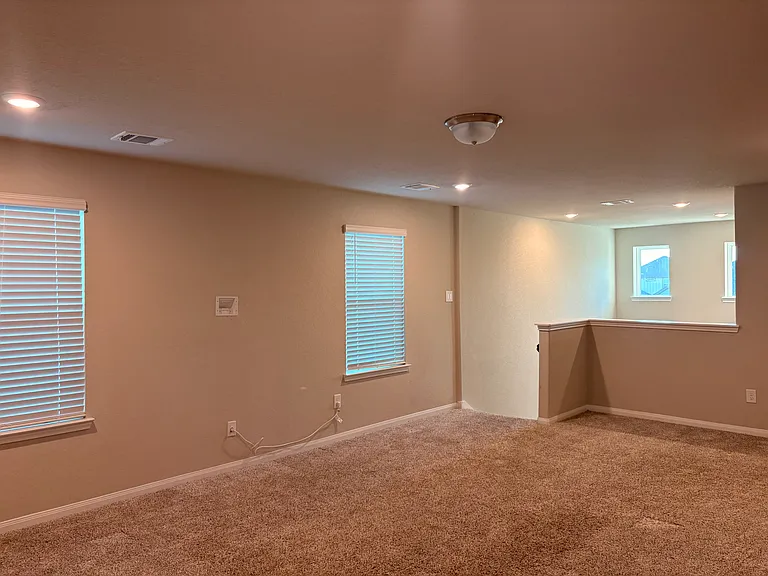 17542 Rosette Grass Dr — Photo 11