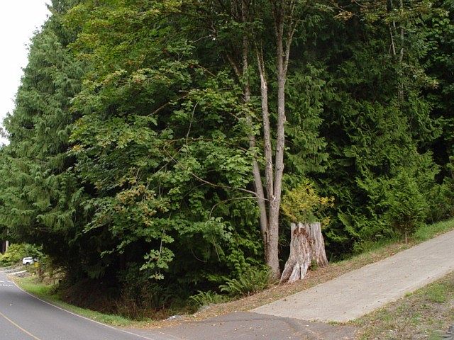 2nd image of 24 Lake Louise Dr