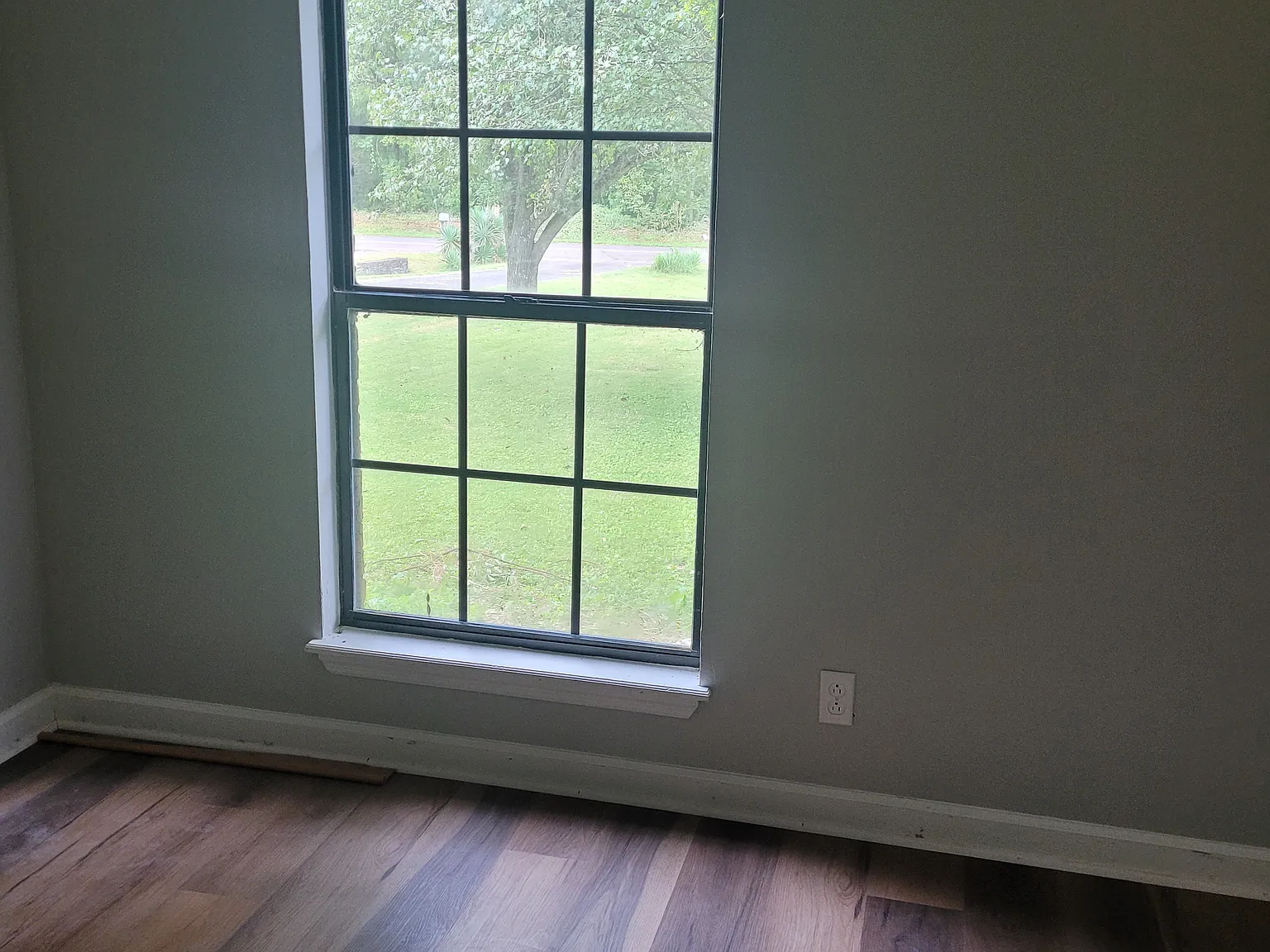 1 bed, $795 — Photo 2