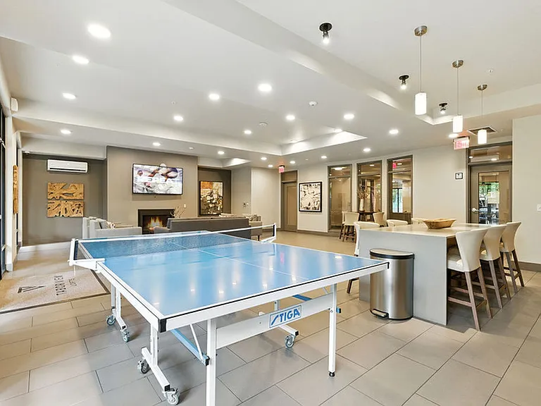 Ping Pong Table