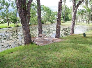 64 Pickering Dr, Kissimmee, FL 34746