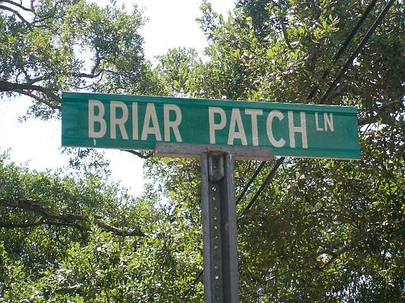 3rd image of 1 Briar Patch Ln