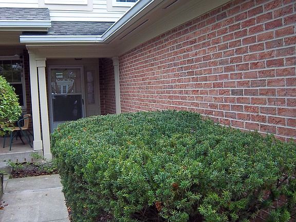 2nd image of 163 Stirling Ln