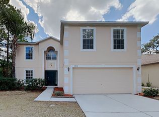 13533 Copper Head Dr, Riverview, FL 33569