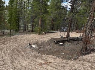 123 Lodgepole Dr, Leadville, CO 80461