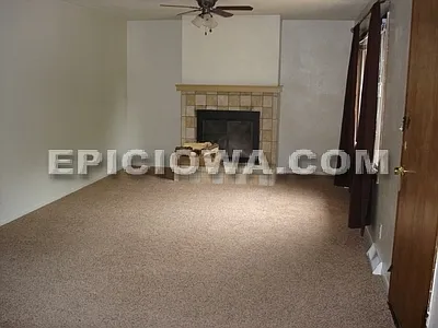 Fireplace - Wood Burning