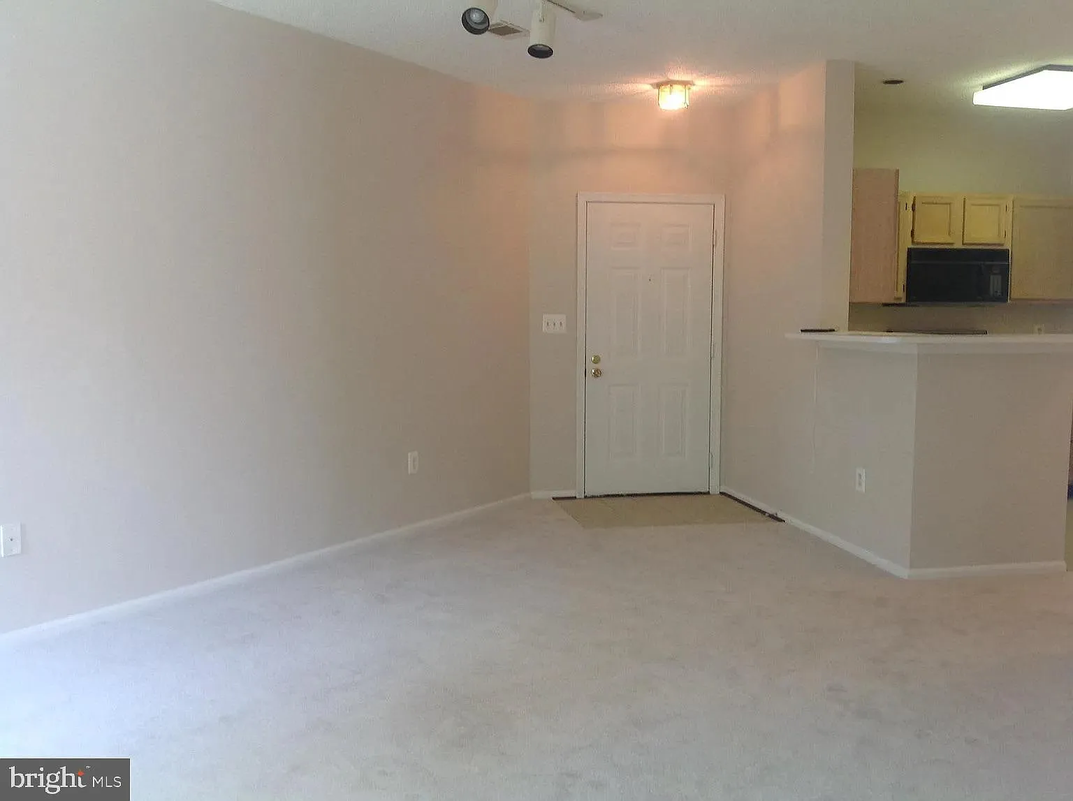 14321 Climbing Rose Way — Photo 2